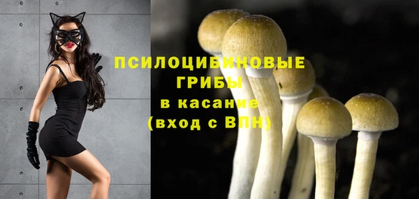 не бодяженный Алексин