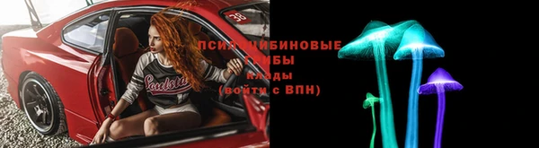 гашик Алексеевка