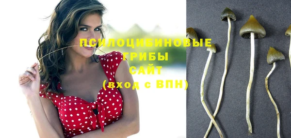 гашик Алексеевка